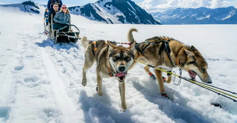 Anchorage Area: Helicopter and Glacier Dogsled Tour — helicopter tour in Anchorage