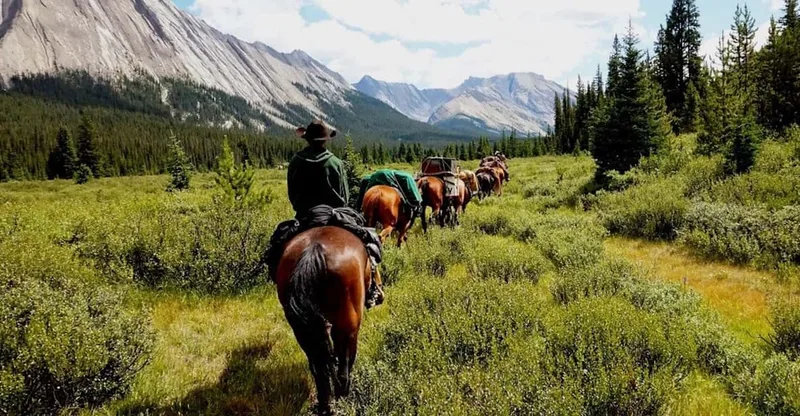 Canadian Rockies Combo: Helicopter Tour and Horseback Ride — helicopter tour in Jasper
